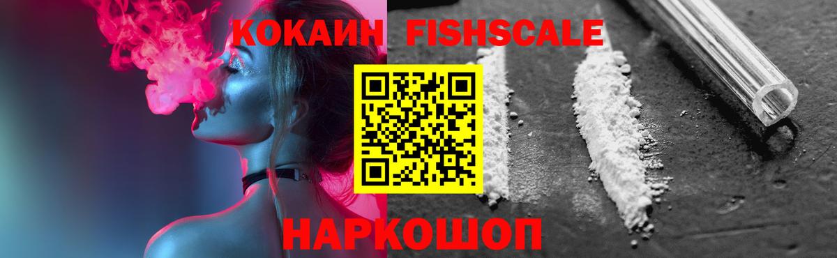 Сухой Лог  Cocaine Fish Scale  где продают   Вход с VPN  COCAIN Эквадор 