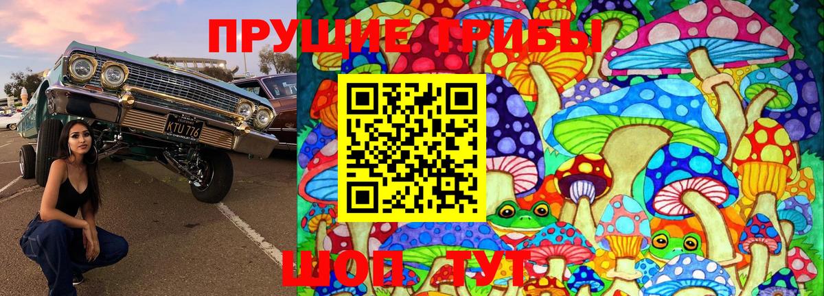 Сухой Лог  Псилоцибиновые грибы Magic Shrooms  что такое наркотик  Вход с VPN 