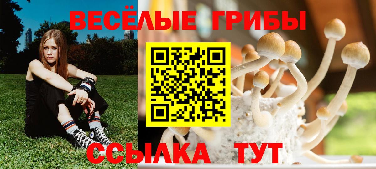 Псилоцибиновые грибы MAGIC MUSHROOMS Сухой Лог